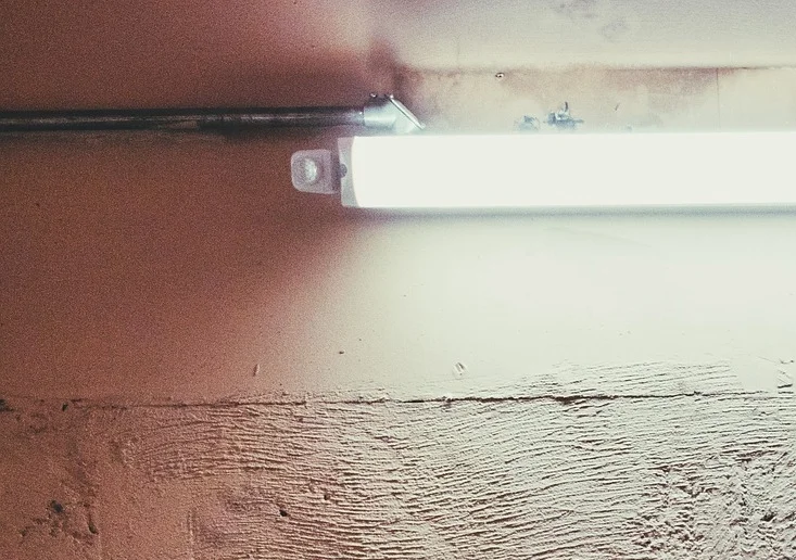 Why You Should Never, Ever Change A Burnt-Out Lightbulb In Your Office