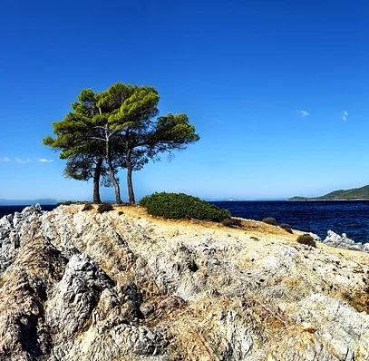 Shooting 8K And Ordering Milkshakes: Figuring Out The "Job To Be Done"