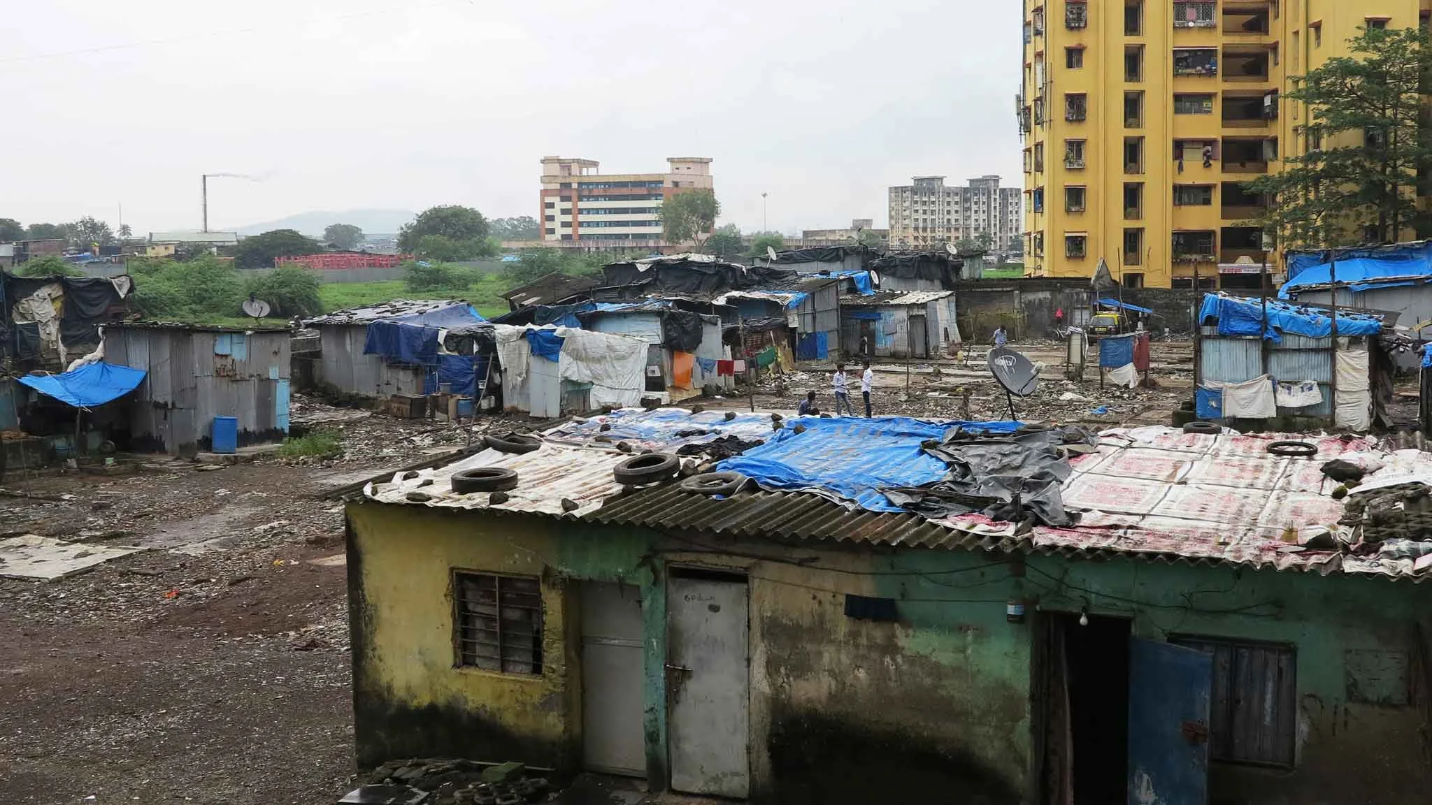 A statistical nightmare