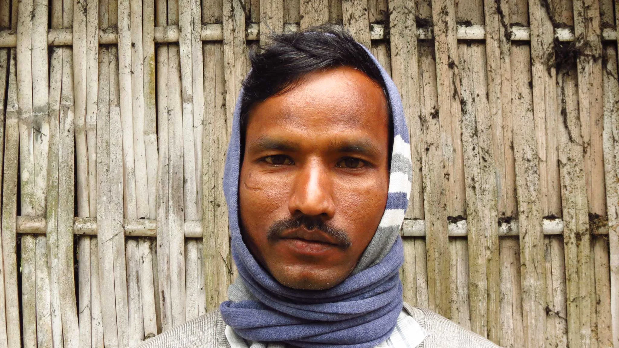 Meet Tarindaro