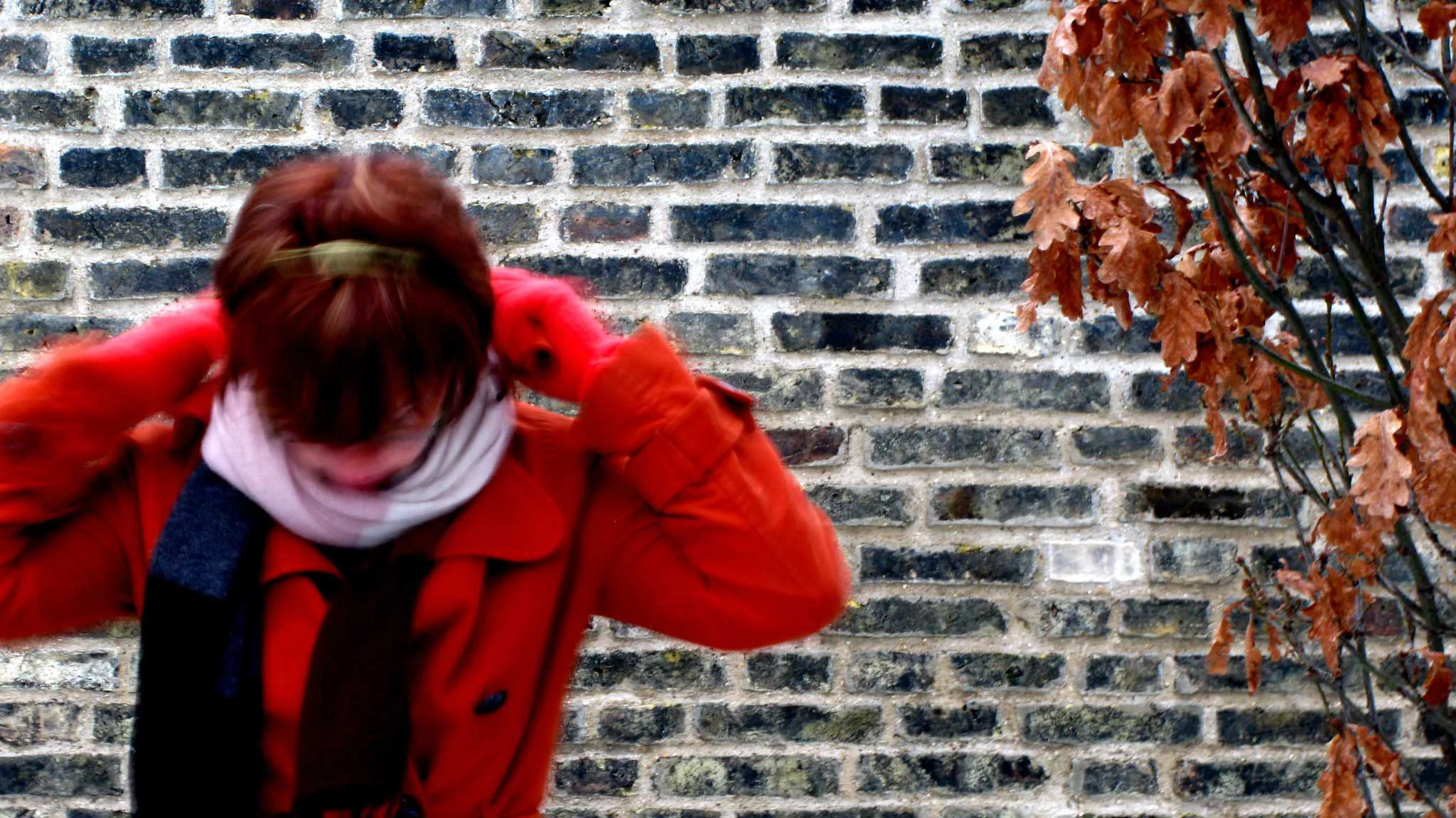 A commitment to justice & dignity for all