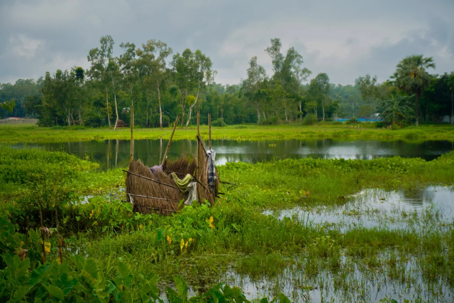 Submerged toilet, village under water