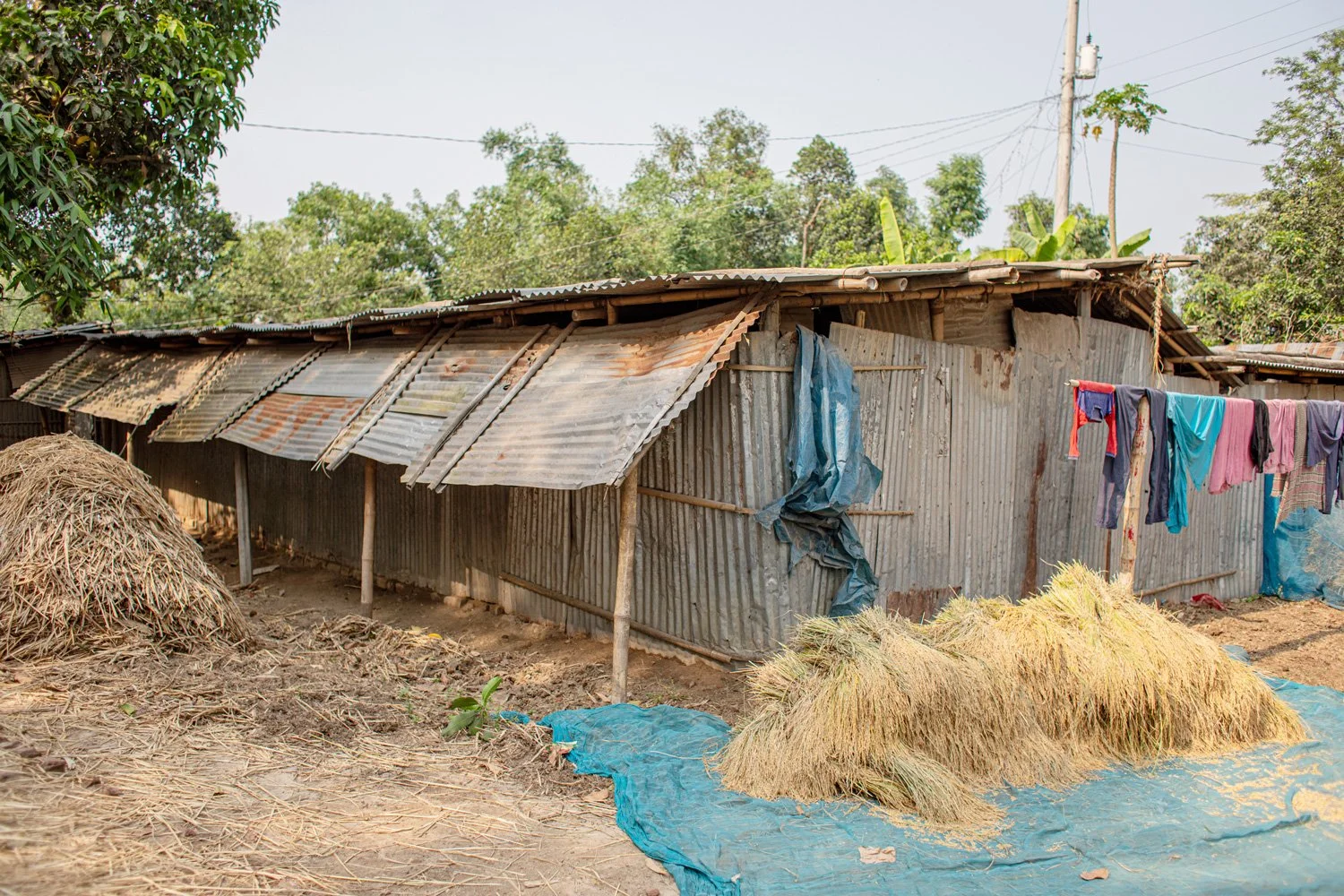 Corrugated iron sheet house, rural Bangladesh