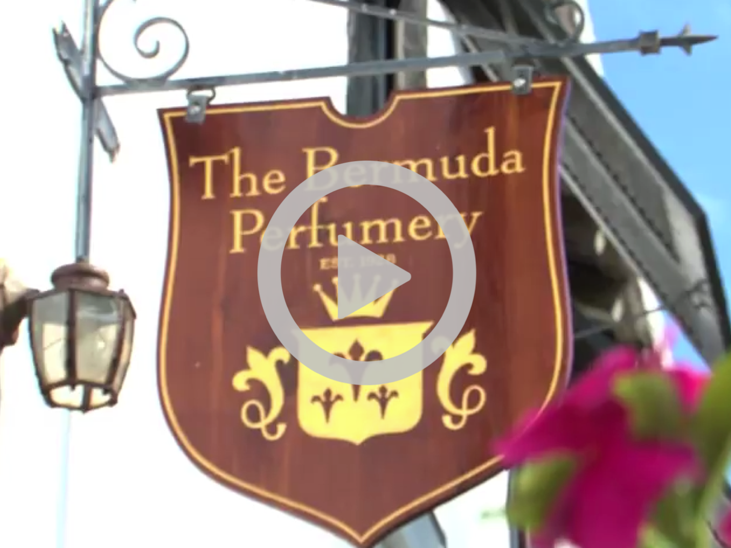 Lilli Bermuda.png