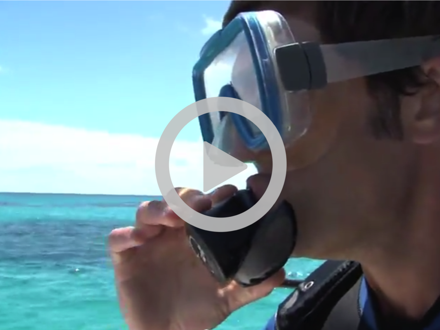 divebermuda.png