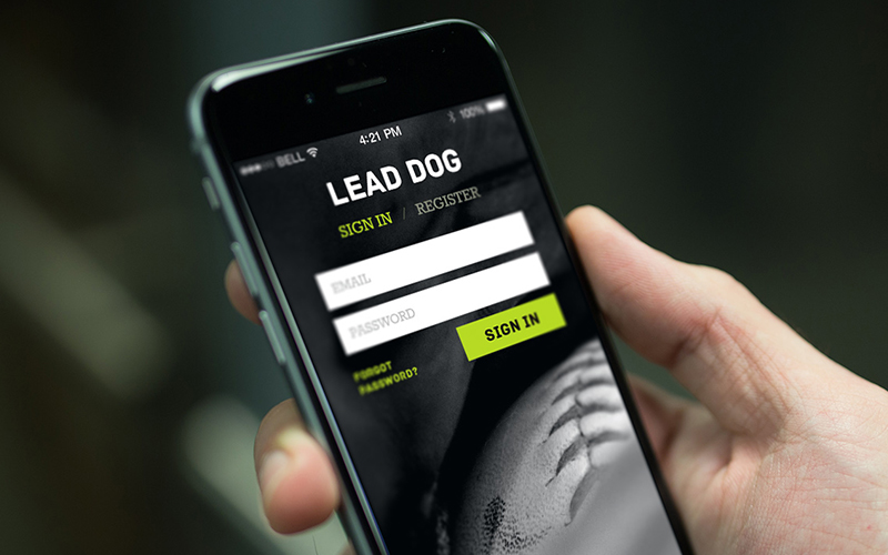 project_ux_leaddog_07.jpg