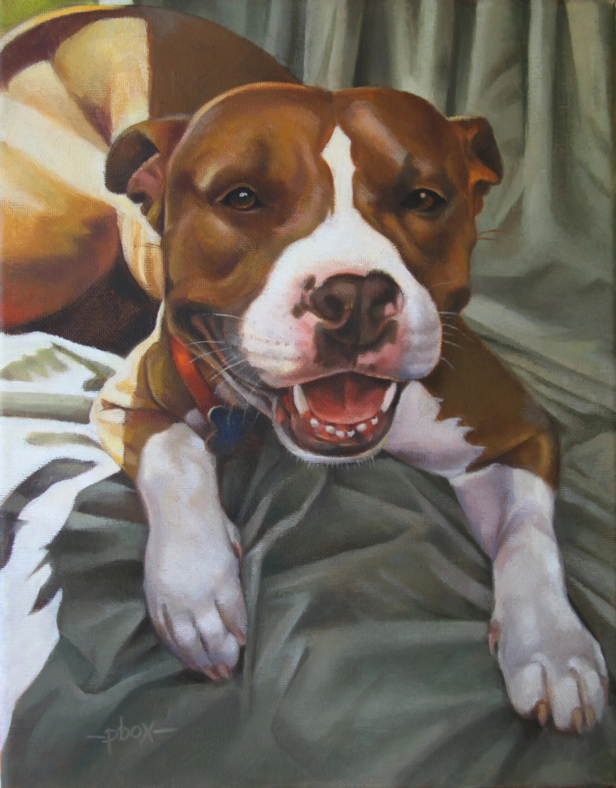 Bubbies Cassidy - Happy Camper.jpg