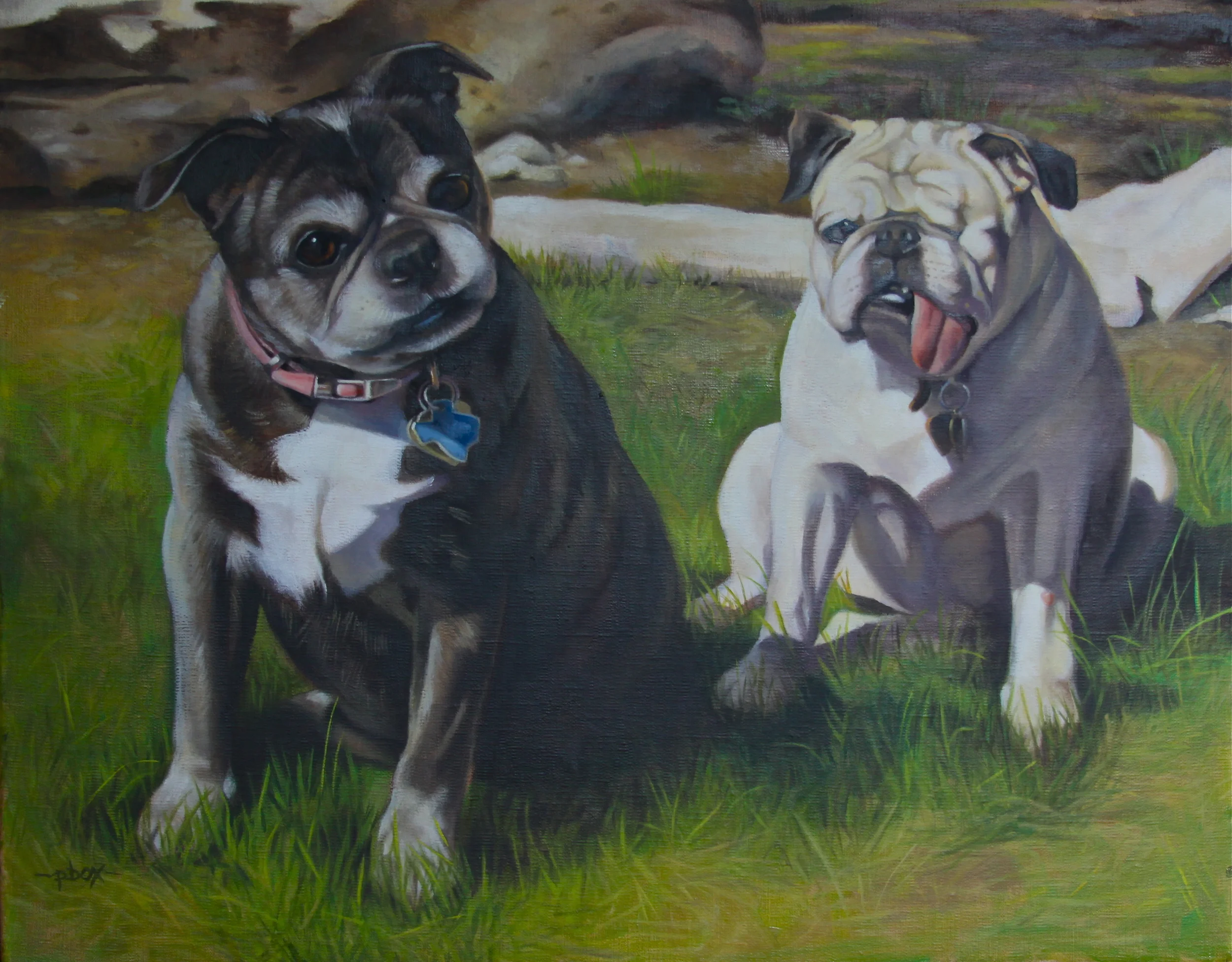 Bug and a Pug - Boo & Georgia.JPG