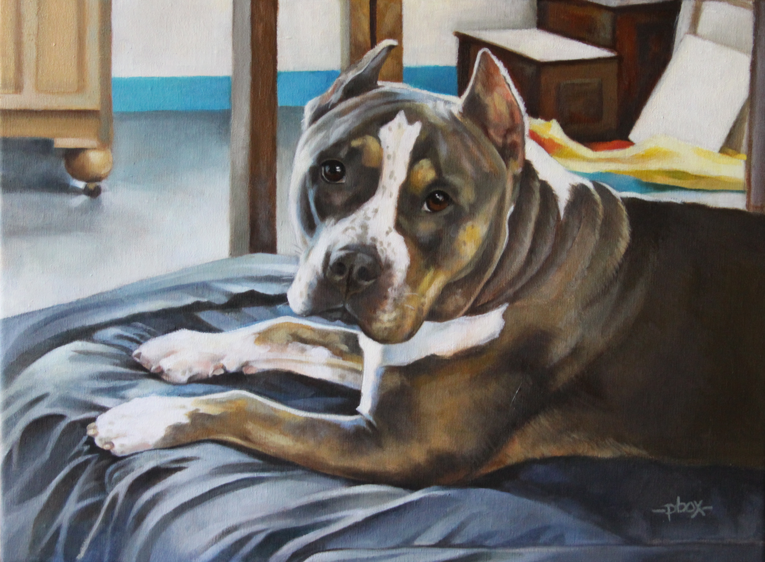 Irie - Studio Dog.jpg