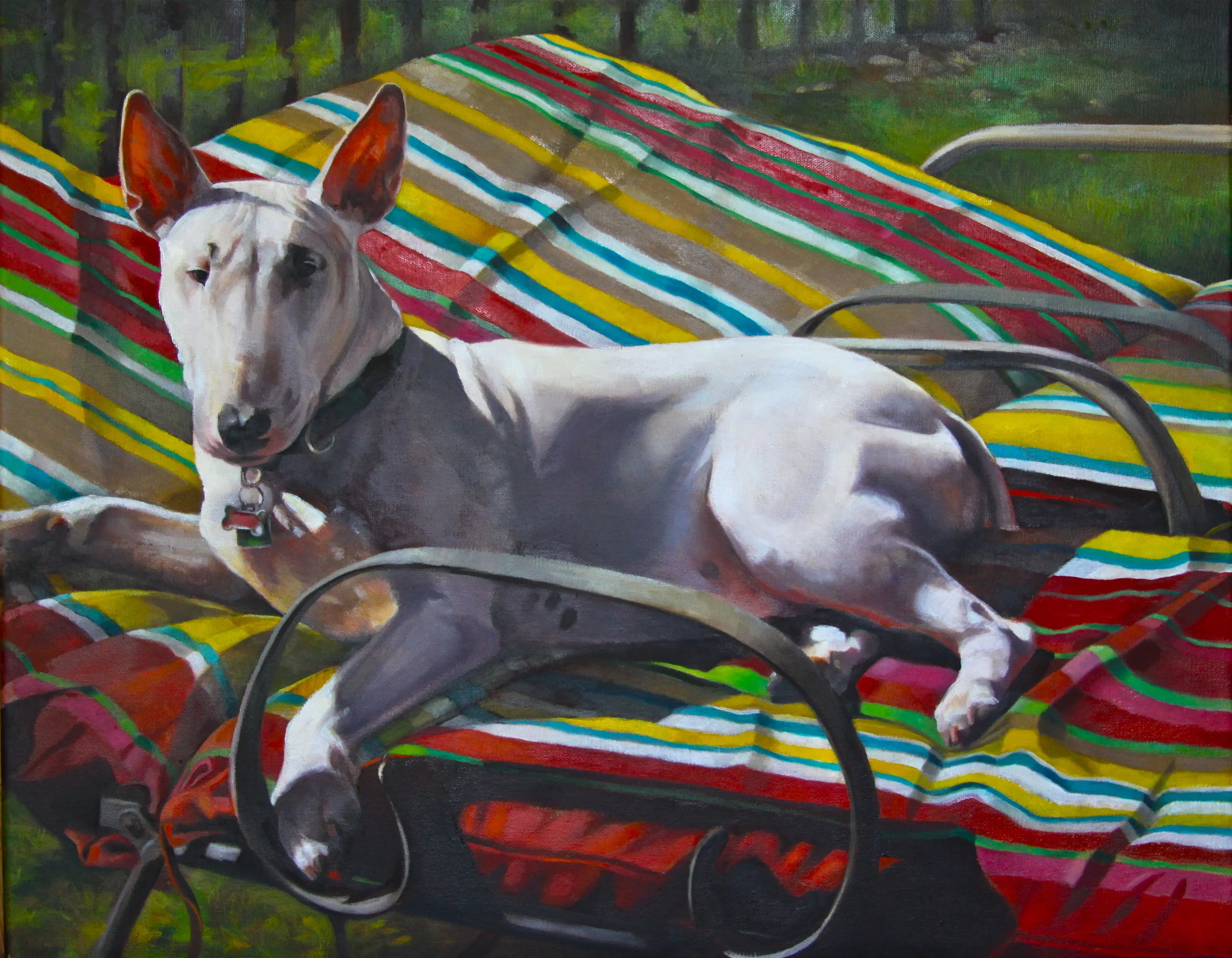 Mobie on stripes.JPG