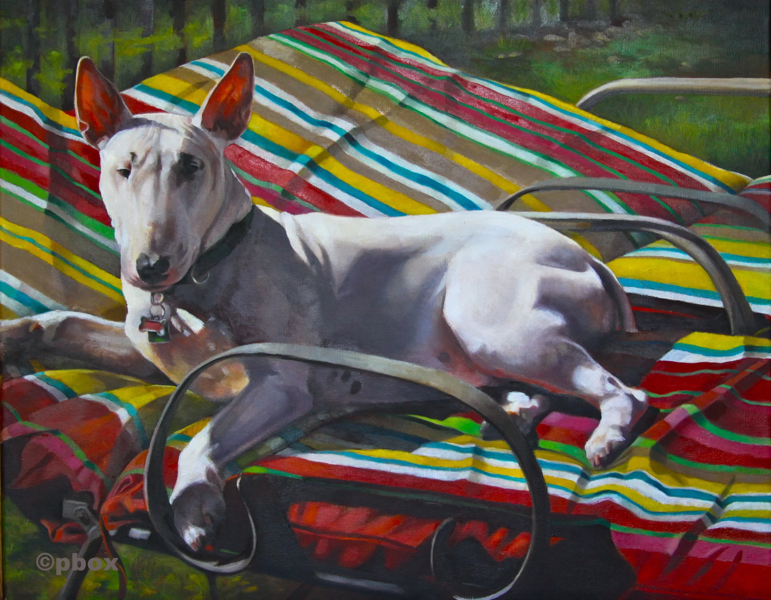 Mobie on stripes.JPG