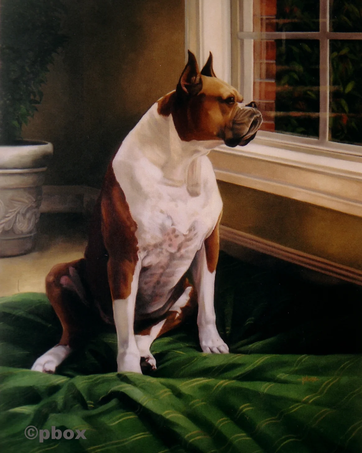 Beautiful Lilly (oil).jpg