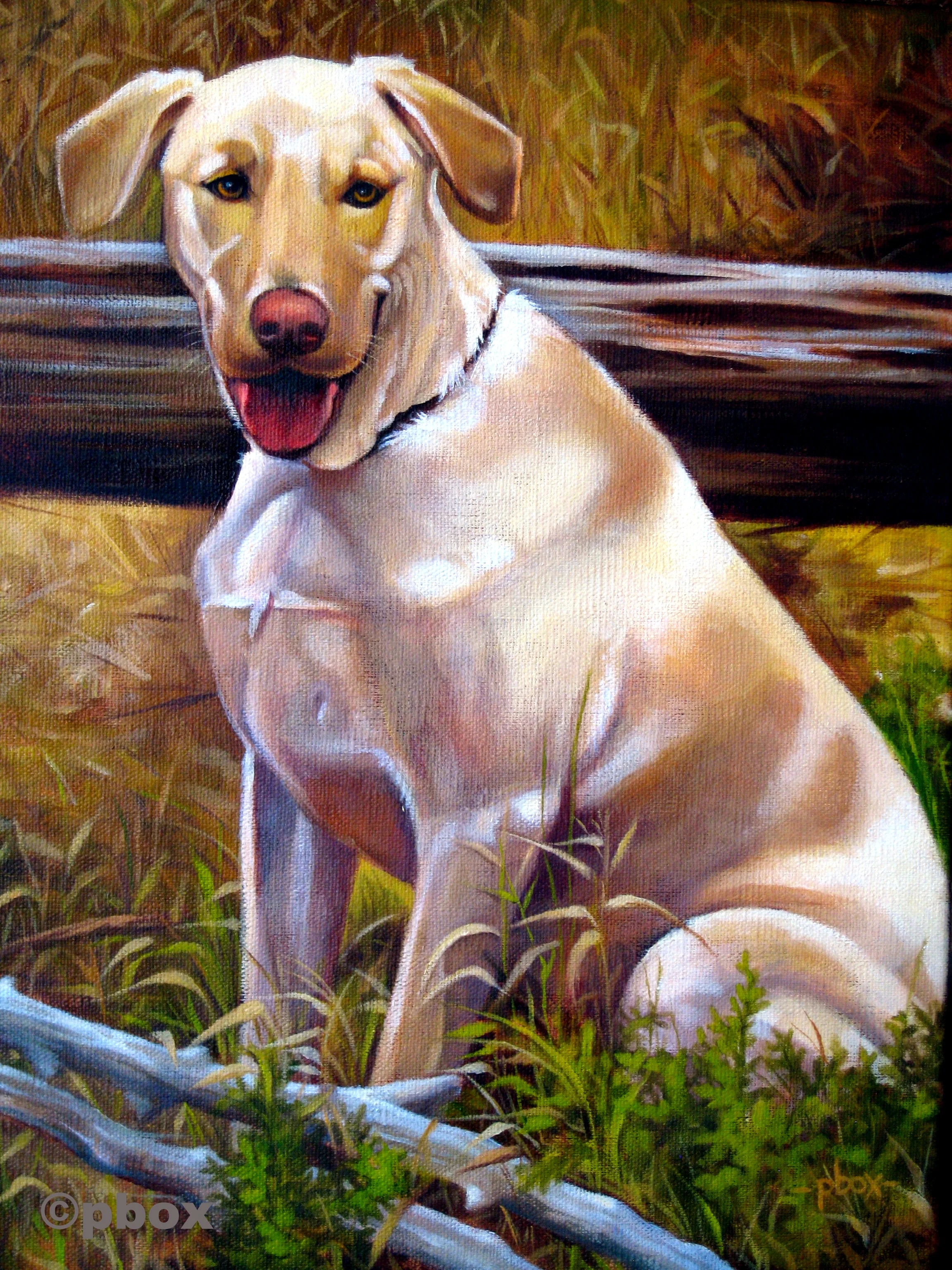 Buck-Gun Dog (oil).jpg