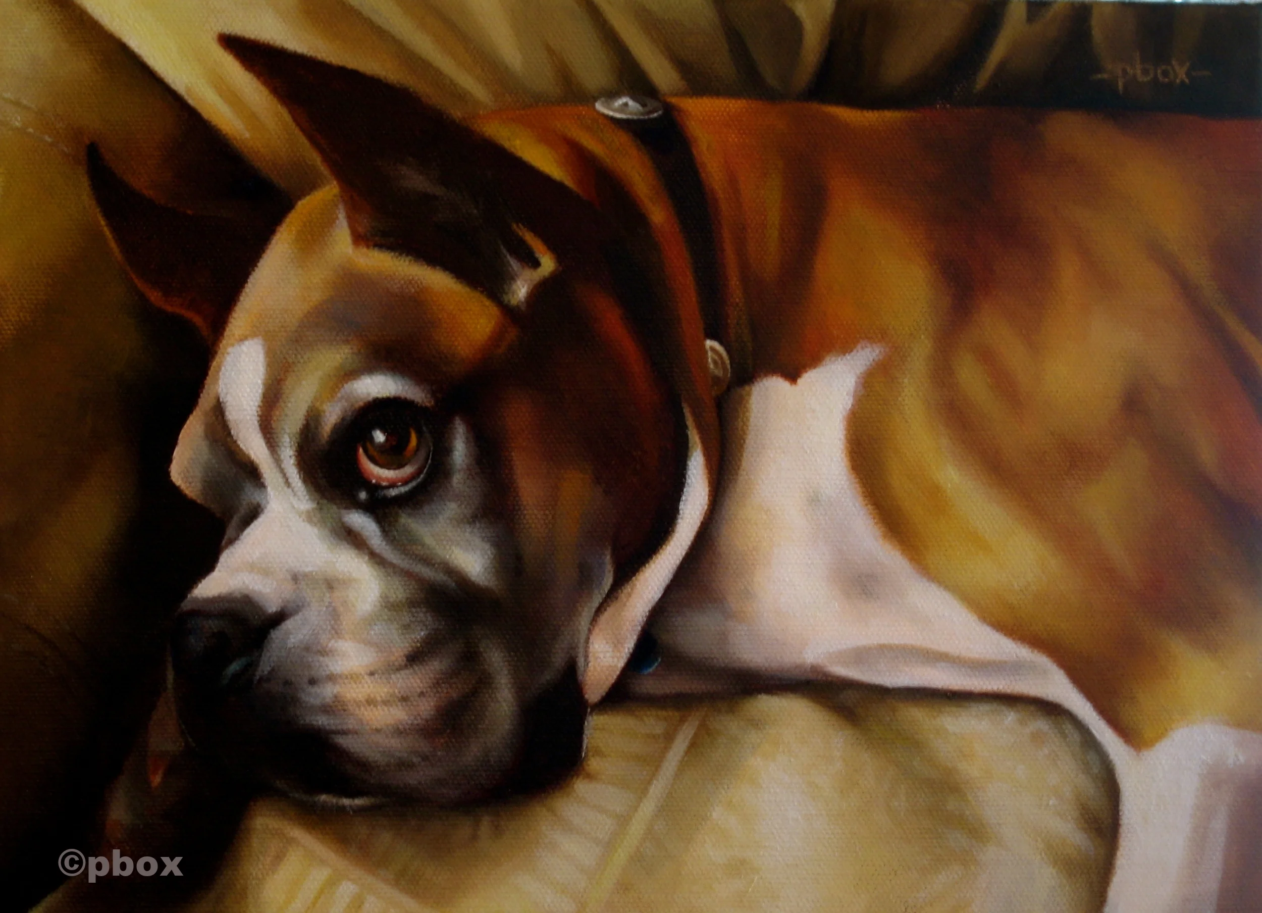 Striker's Nap Time (oil).jpg