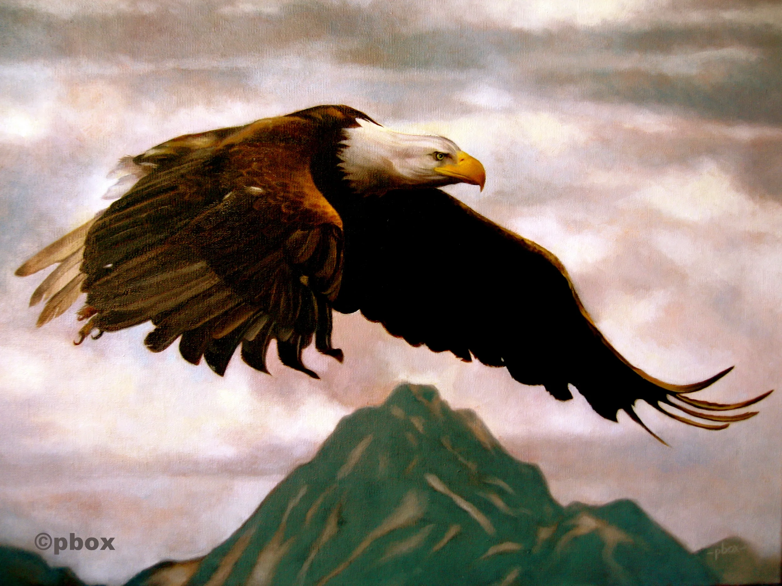 The American (oil).jpg