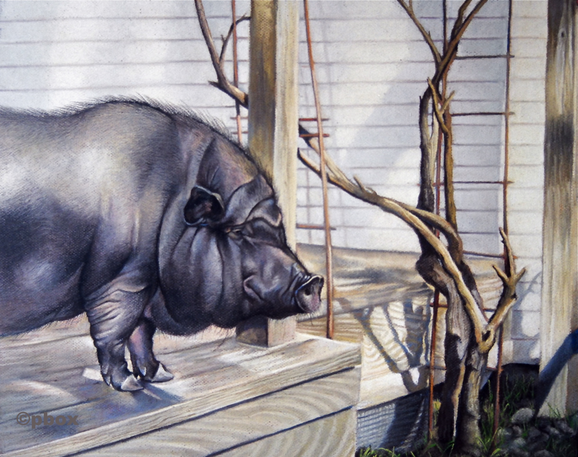 Pig on a Porch.jpg