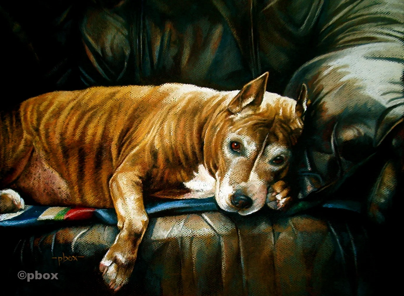 Ms. Sluggo's Golden Years.JPG