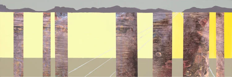 91041-LtdEdition.jpg