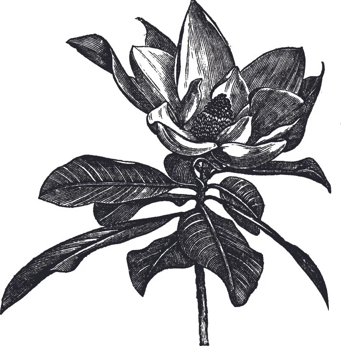 WEB_78338503.jpg