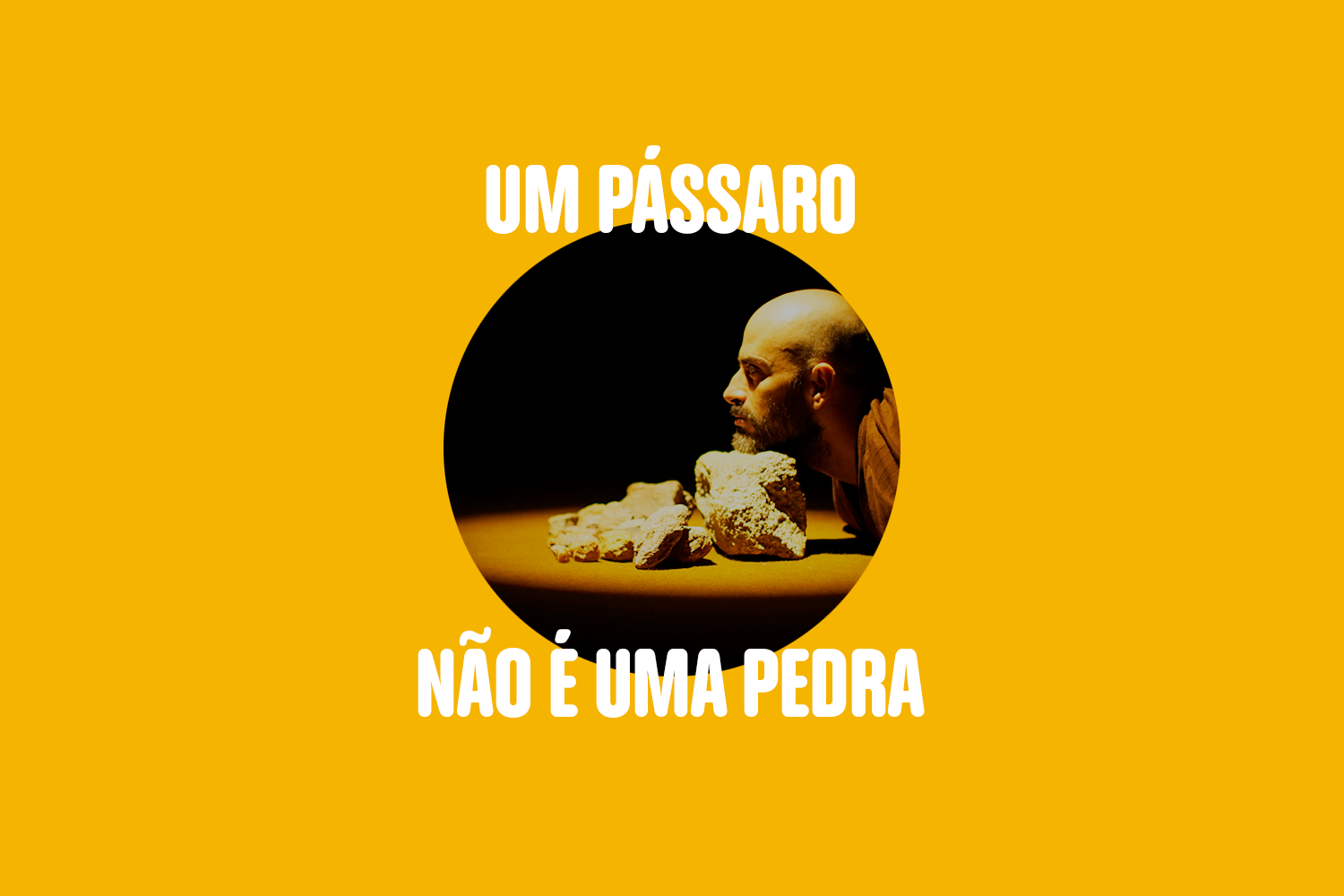 Poeira-Site-Capa-2026-UmPassaroNaoEUmaPedra.png