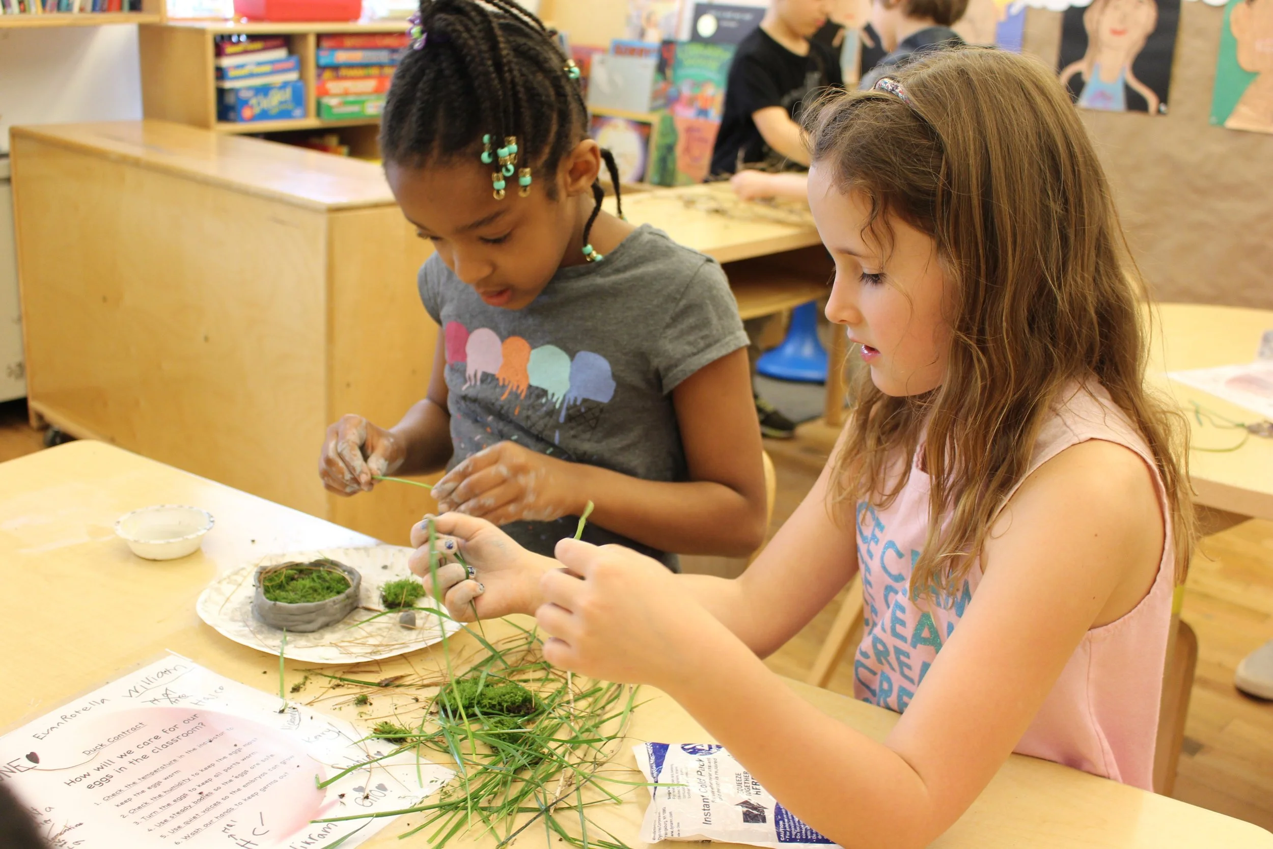Constructing model duck nests based on our habitat study, and what we know ducks need to make a comfy, safe home.