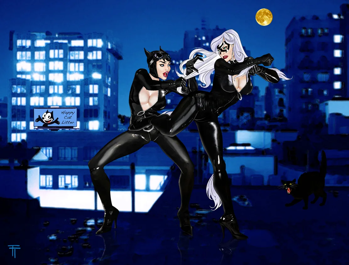 Catwoman vs. The Black Cat