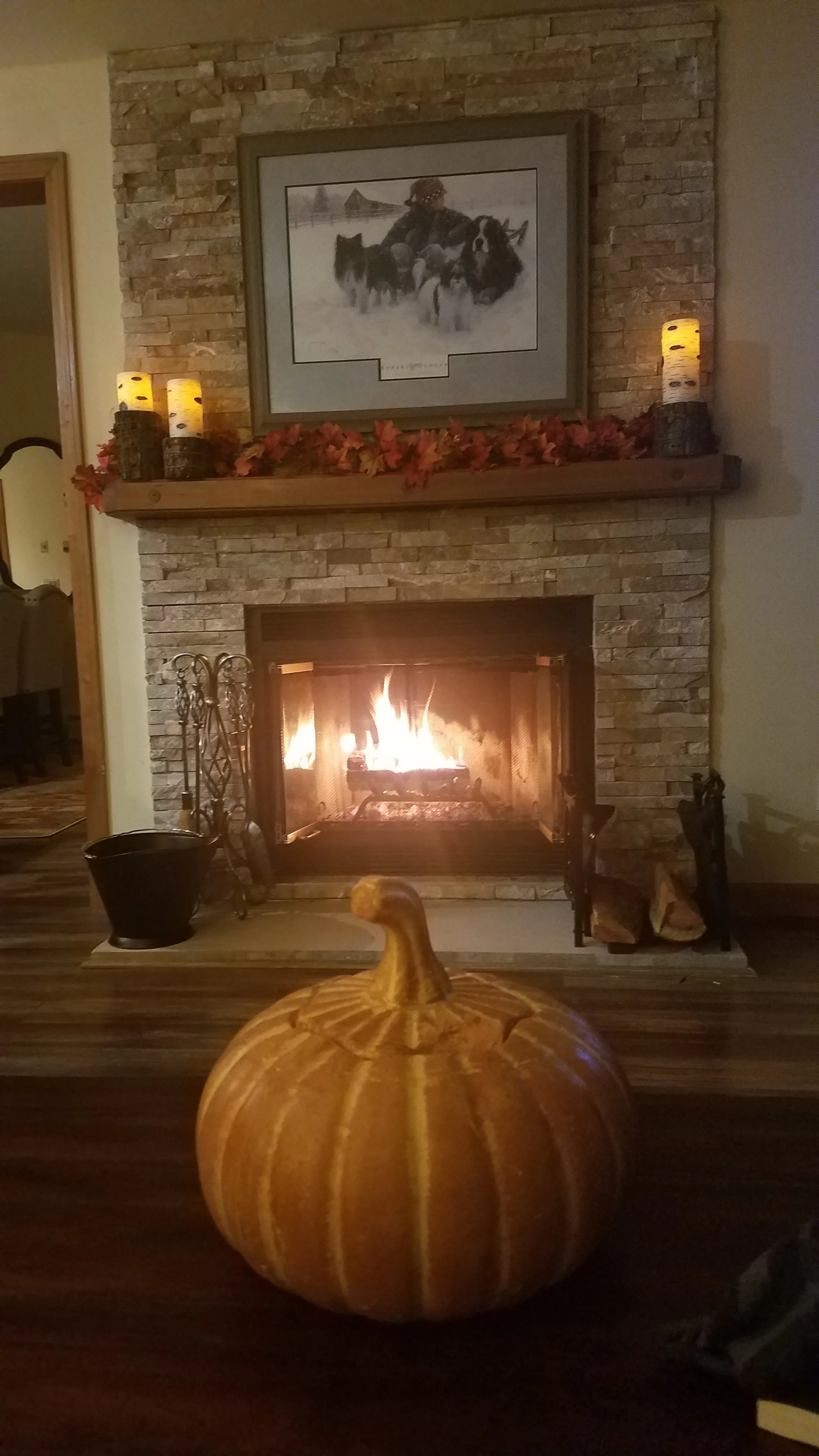 TC 190 fireplace.jpg