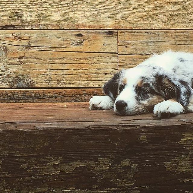 I know, I know.. We're closed today and tomorrow. (📷: @hudsonthemini)