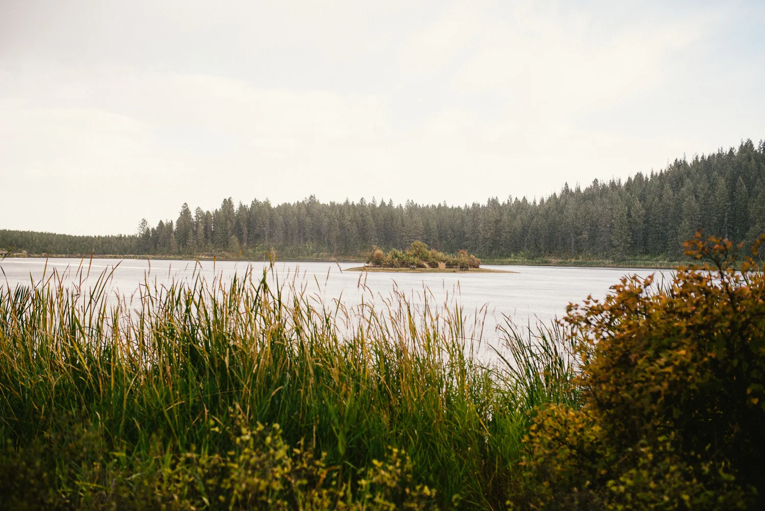 blog-resized-26.jpg