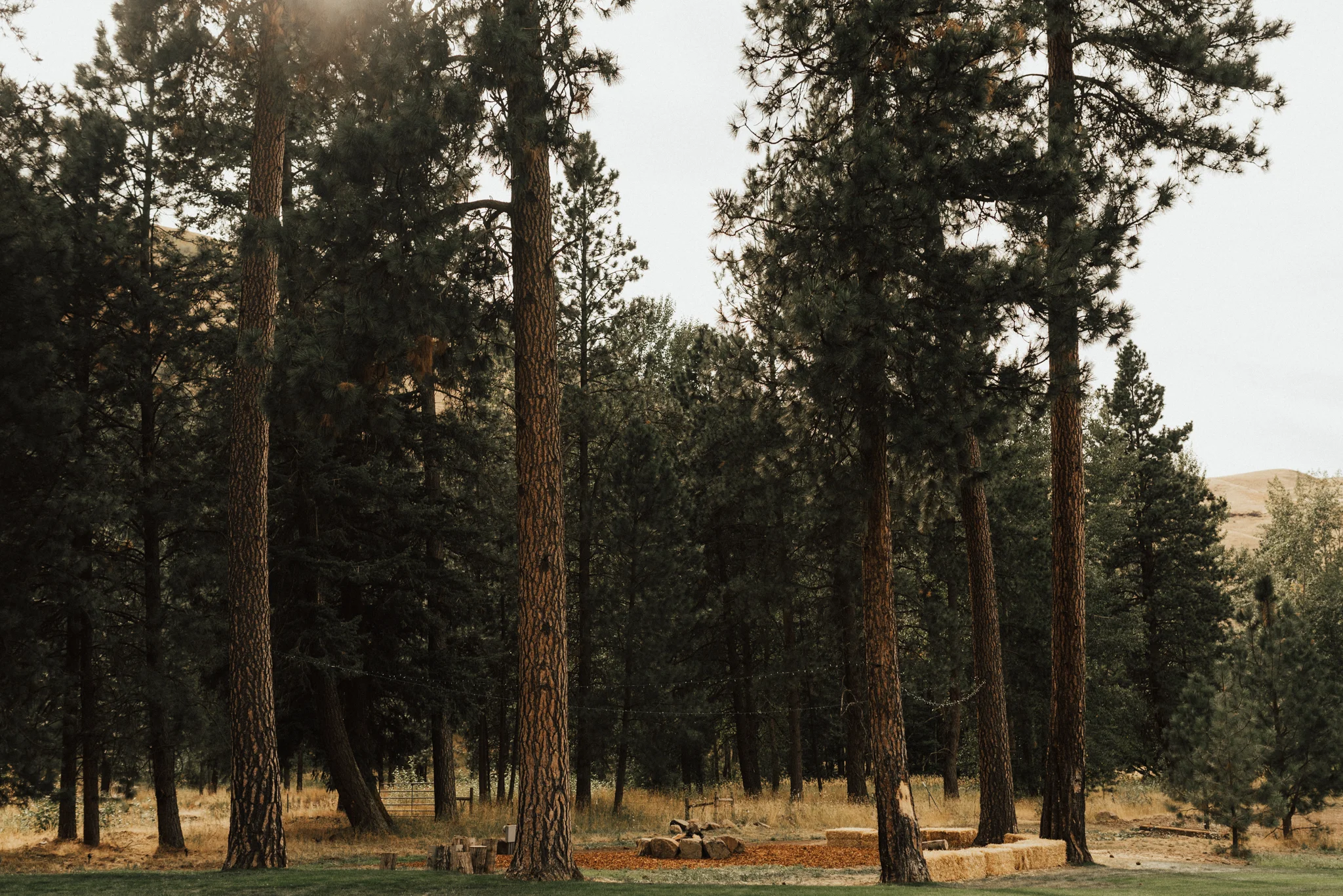 blog (kaylee&max)-125.jpg