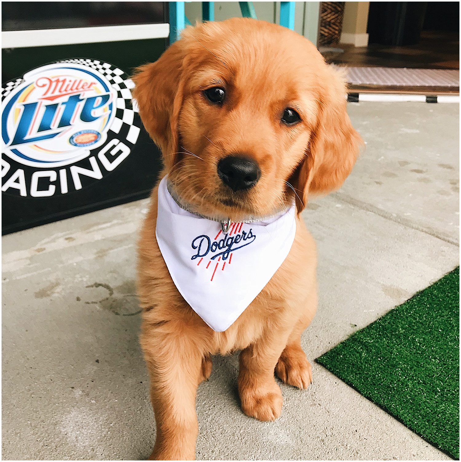 opening day, go dodgers!