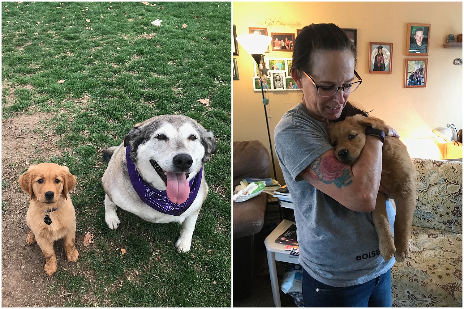 dodger and sadie finally became buddies. and who would have thought my mom would love dodger so dang much?!