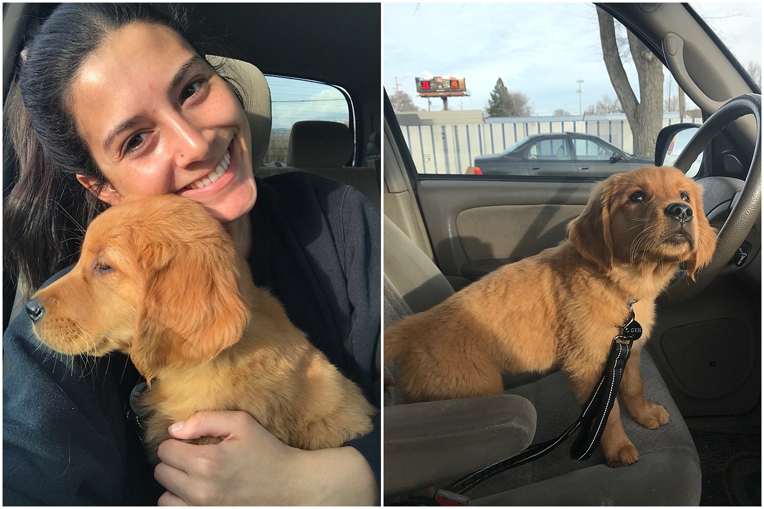 finally getting adjusted to car rides