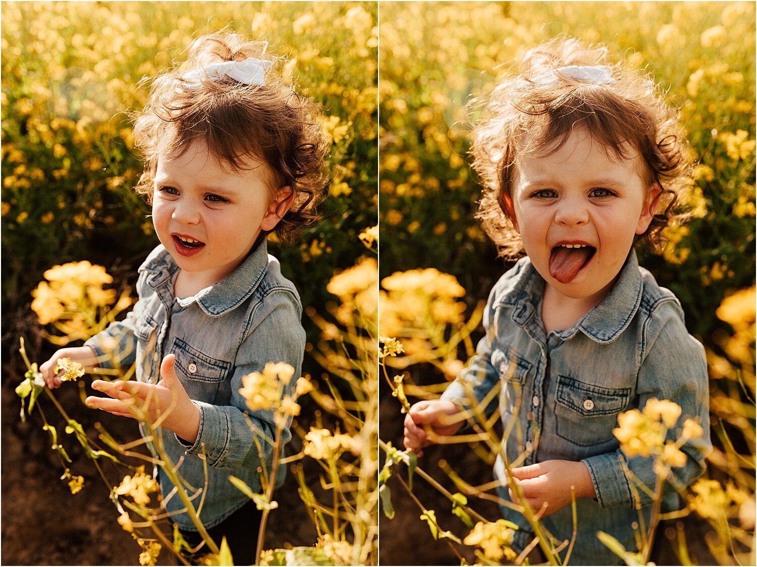 spring field of yellow flowers family session4.jpg