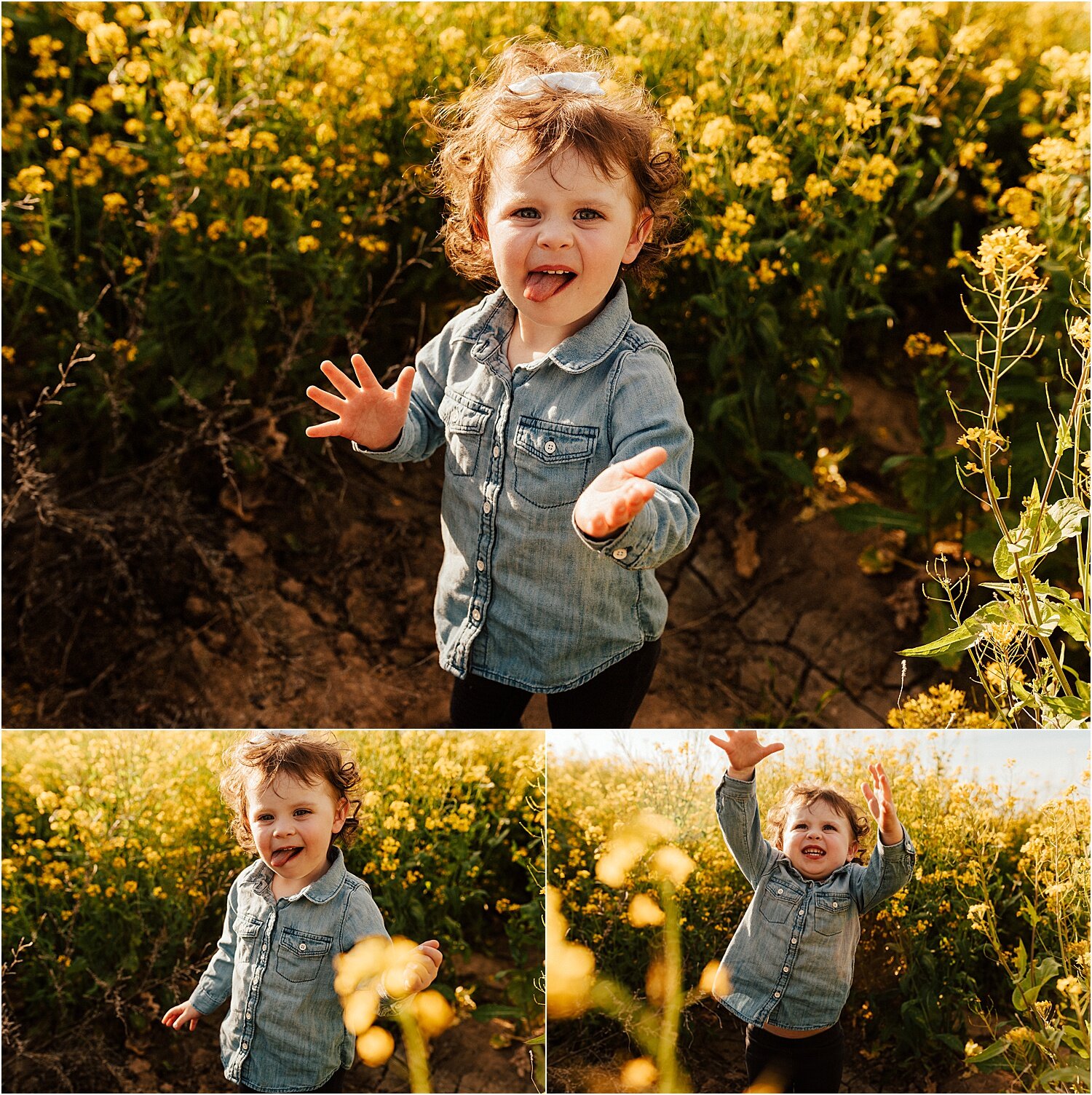 spring field of yellow flowers family session5.jpg