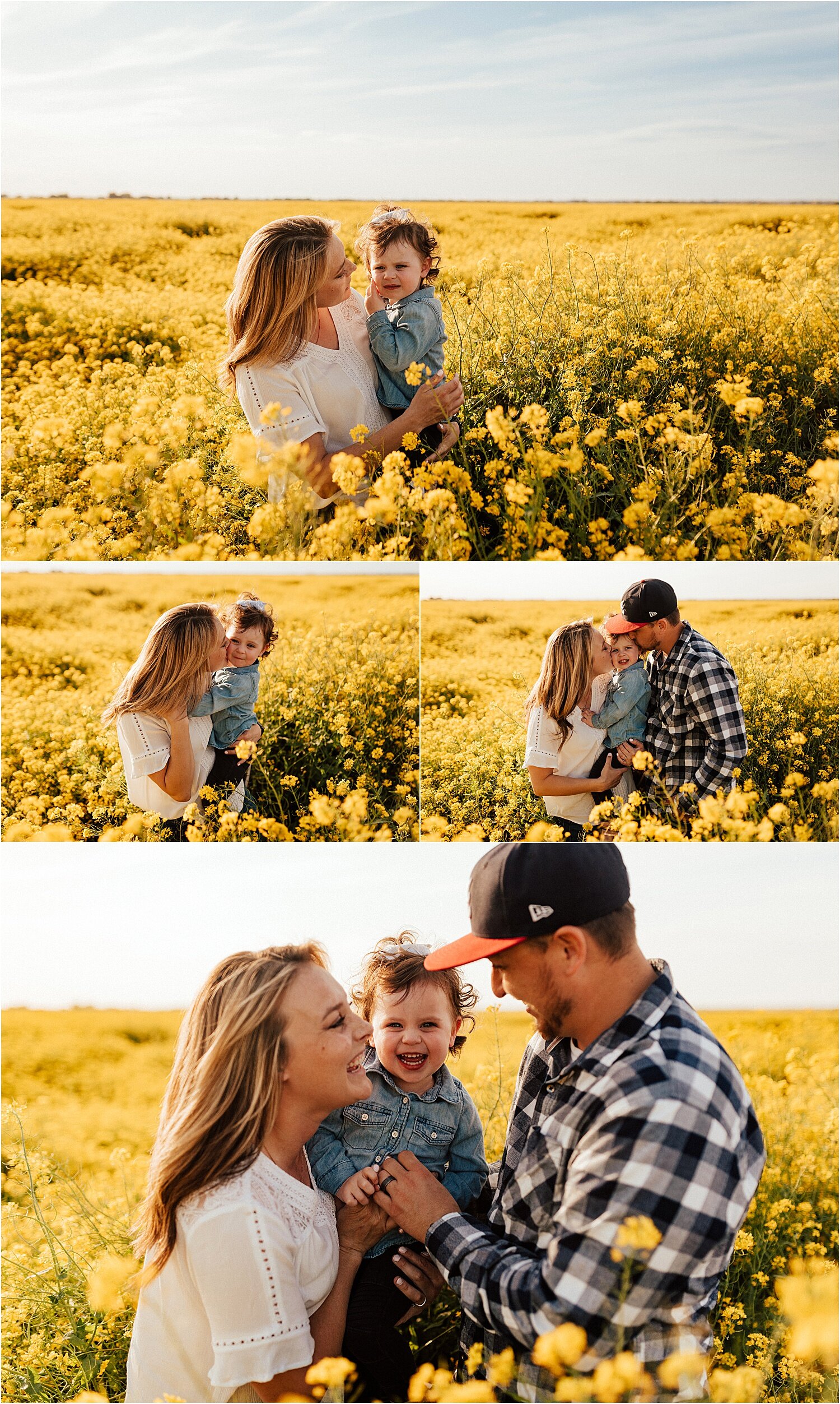 spring field of yellow flowers family session16.jpg