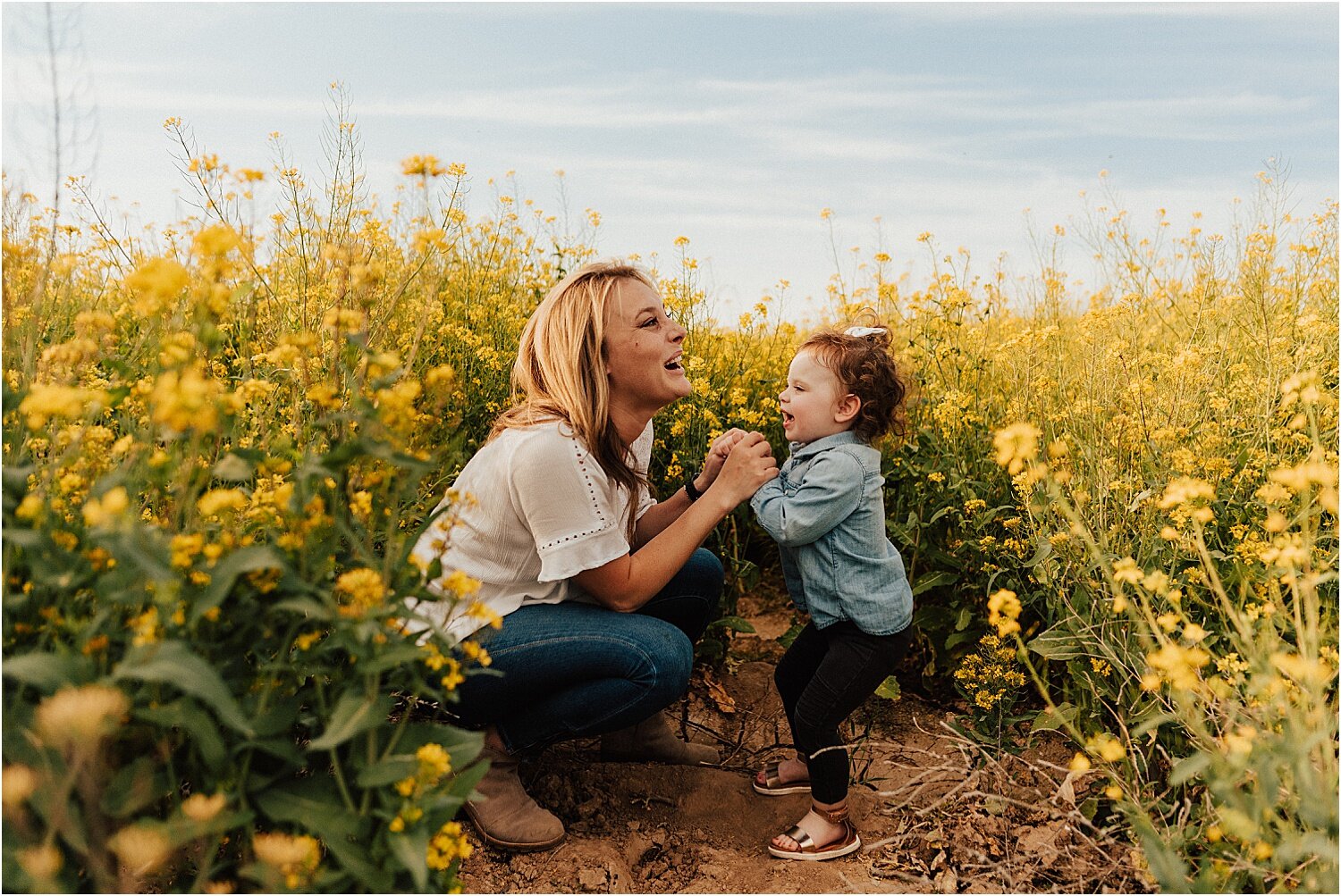 spring field of yellow flowers family session26.jpg