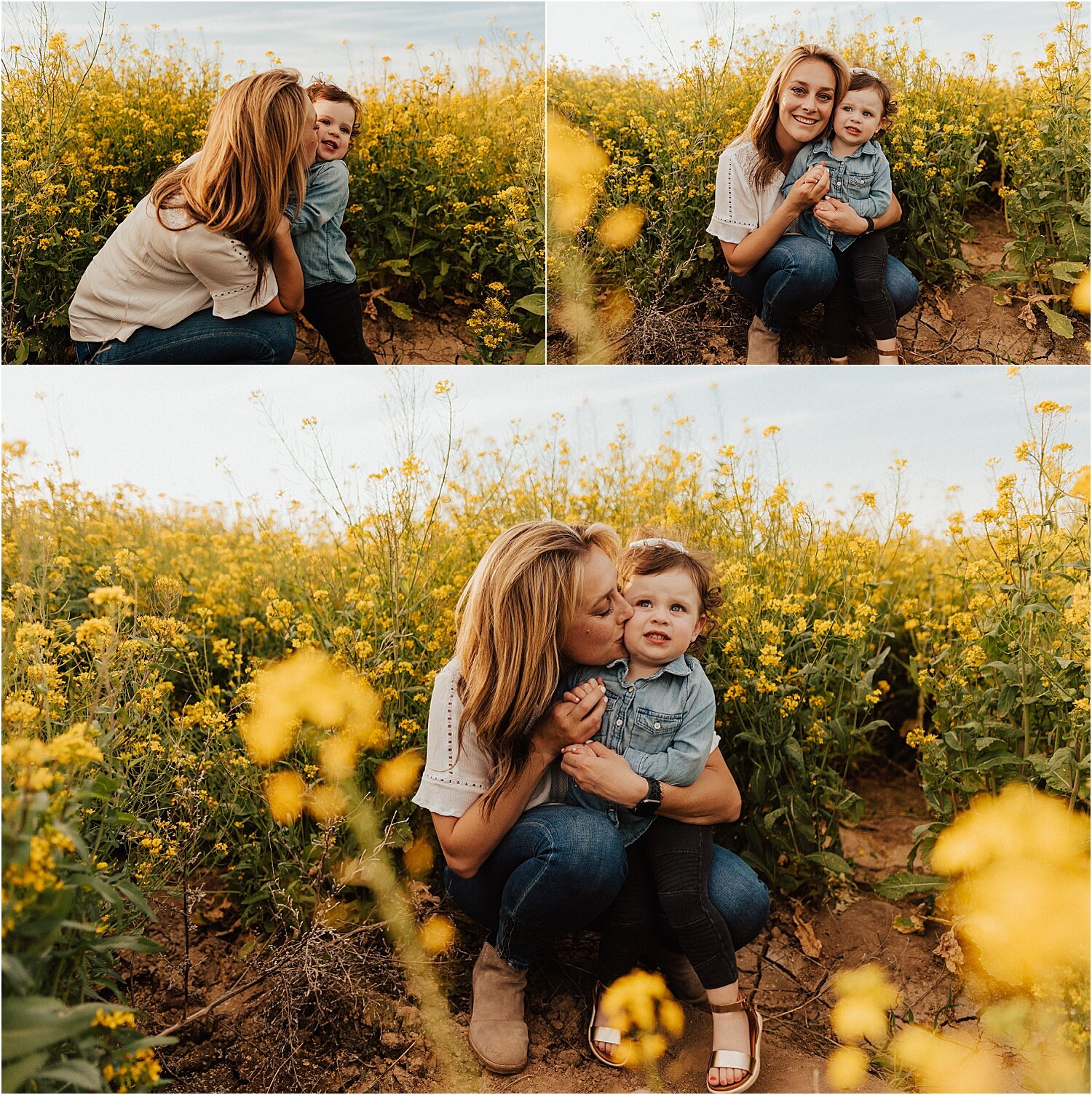 spring field of yellow flowers family session28.jpg