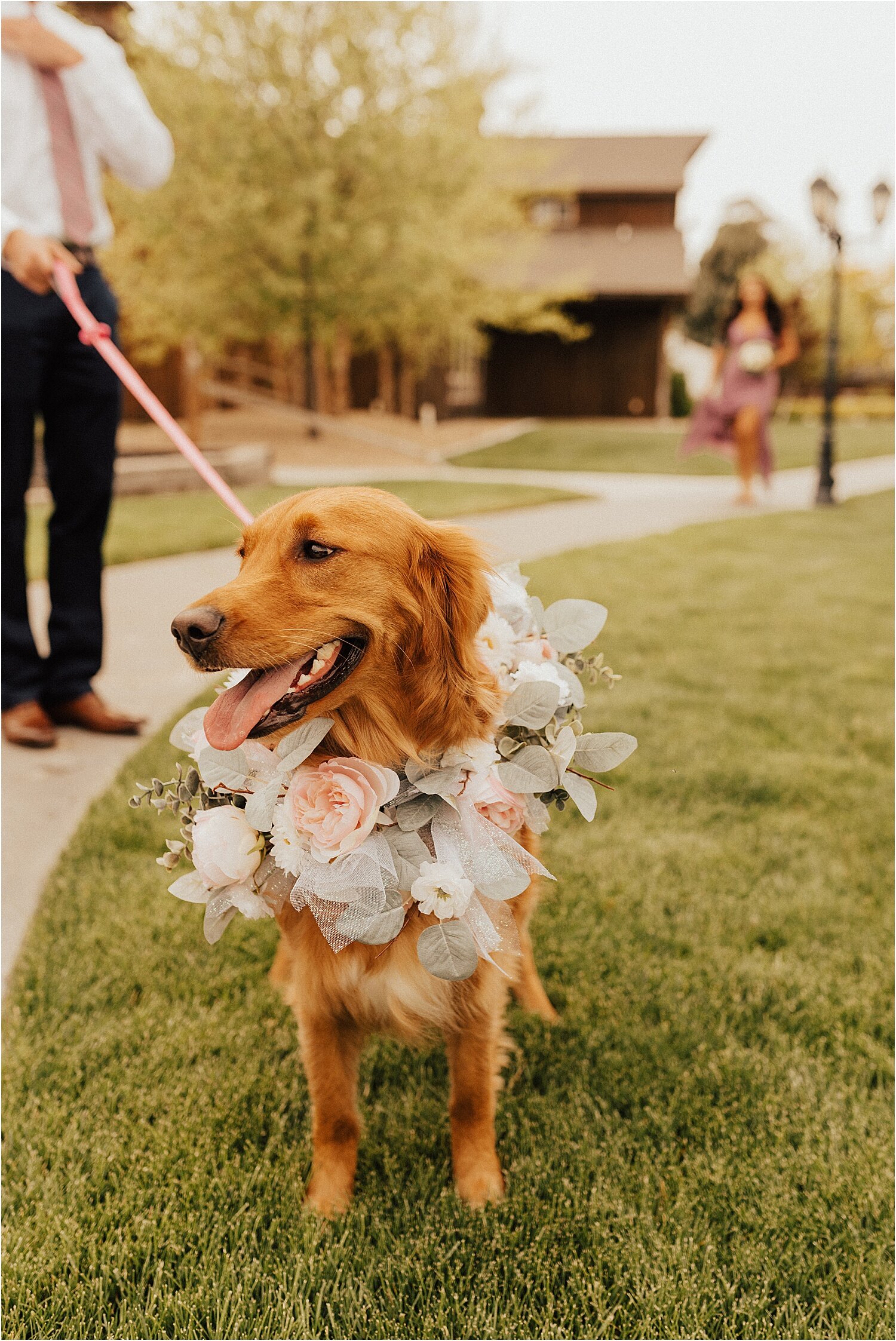 covid may wedding mini ceremony boise idaho2.jpg