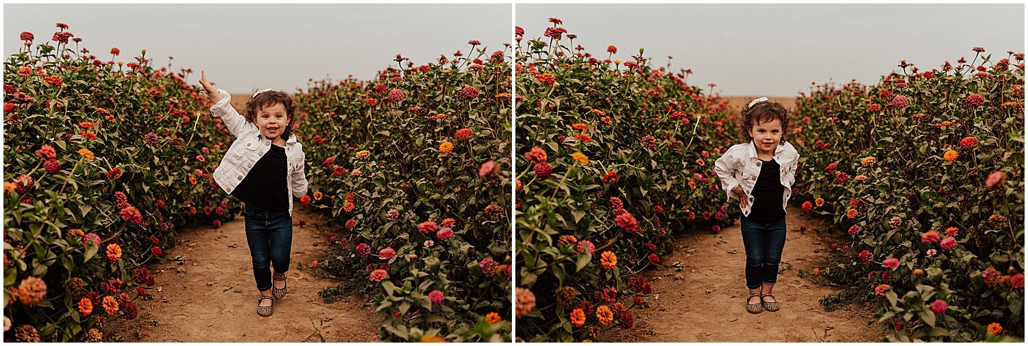 flower field family shoot sunset fall14.jpg