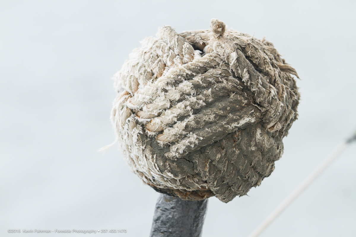Sail Maine_Tall Ships_Bowdoin_071815_1542.jpg