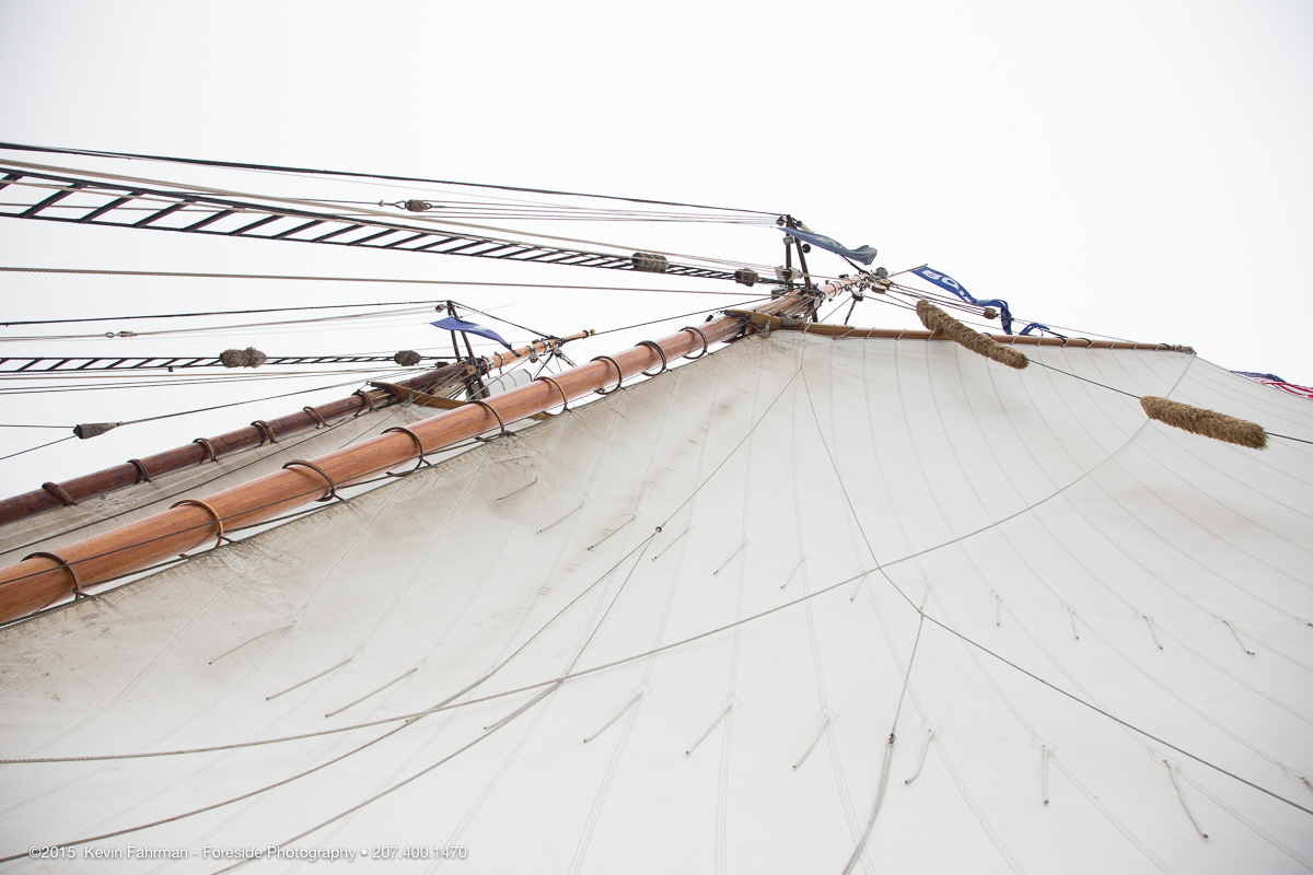 Sail Maine_Tall Ships_Bowdoin_071815_7408.jpg