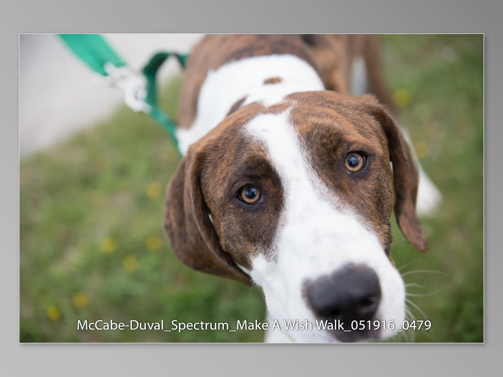McCabe-Duval_Spectrum_Make A Wish Walk_051916_ProofGallery_Page_088.jpg