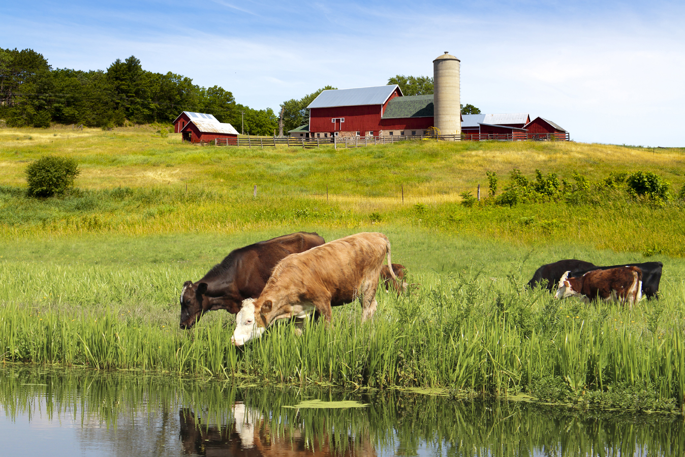 Ideal for use in farmland; whether for irrigation or watering livestock. 