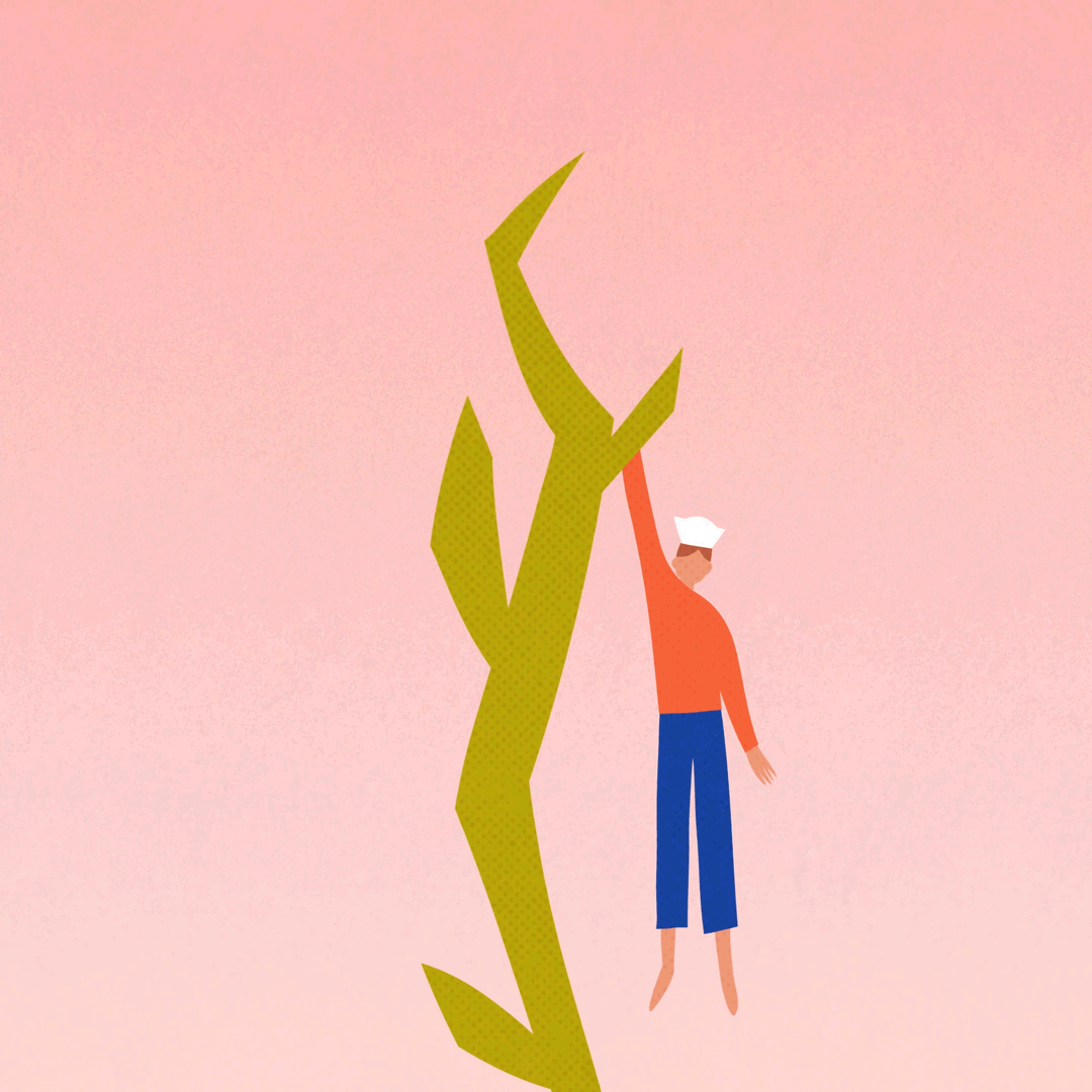 05_johanbrand.gif