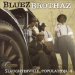 BLUEZ BROTHERS
