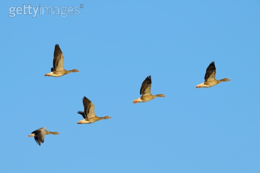 Photo by Anagramm/iStock / Getty Images