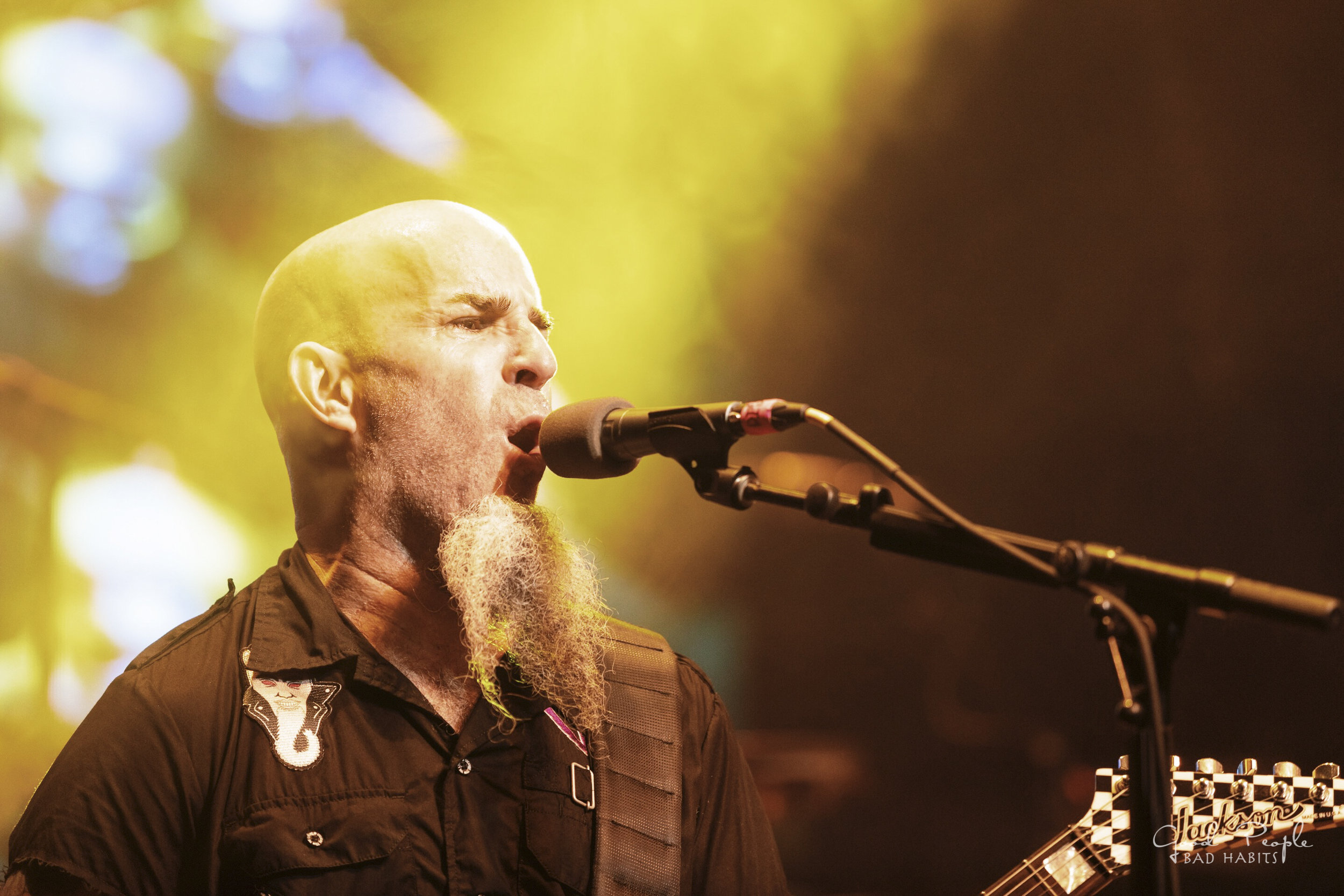 Anthrax_09.jpg