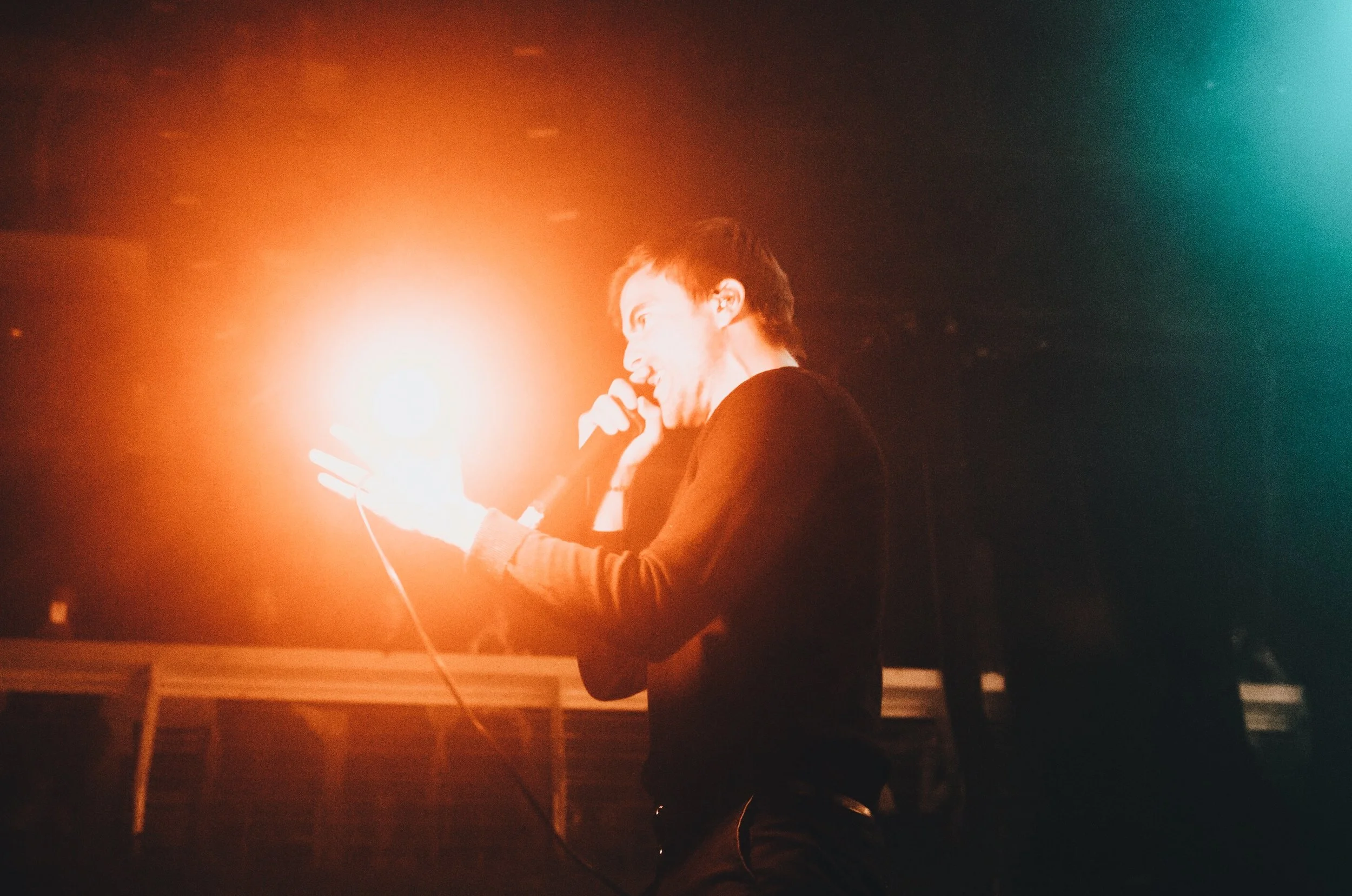 The Sound of Animals Fighting