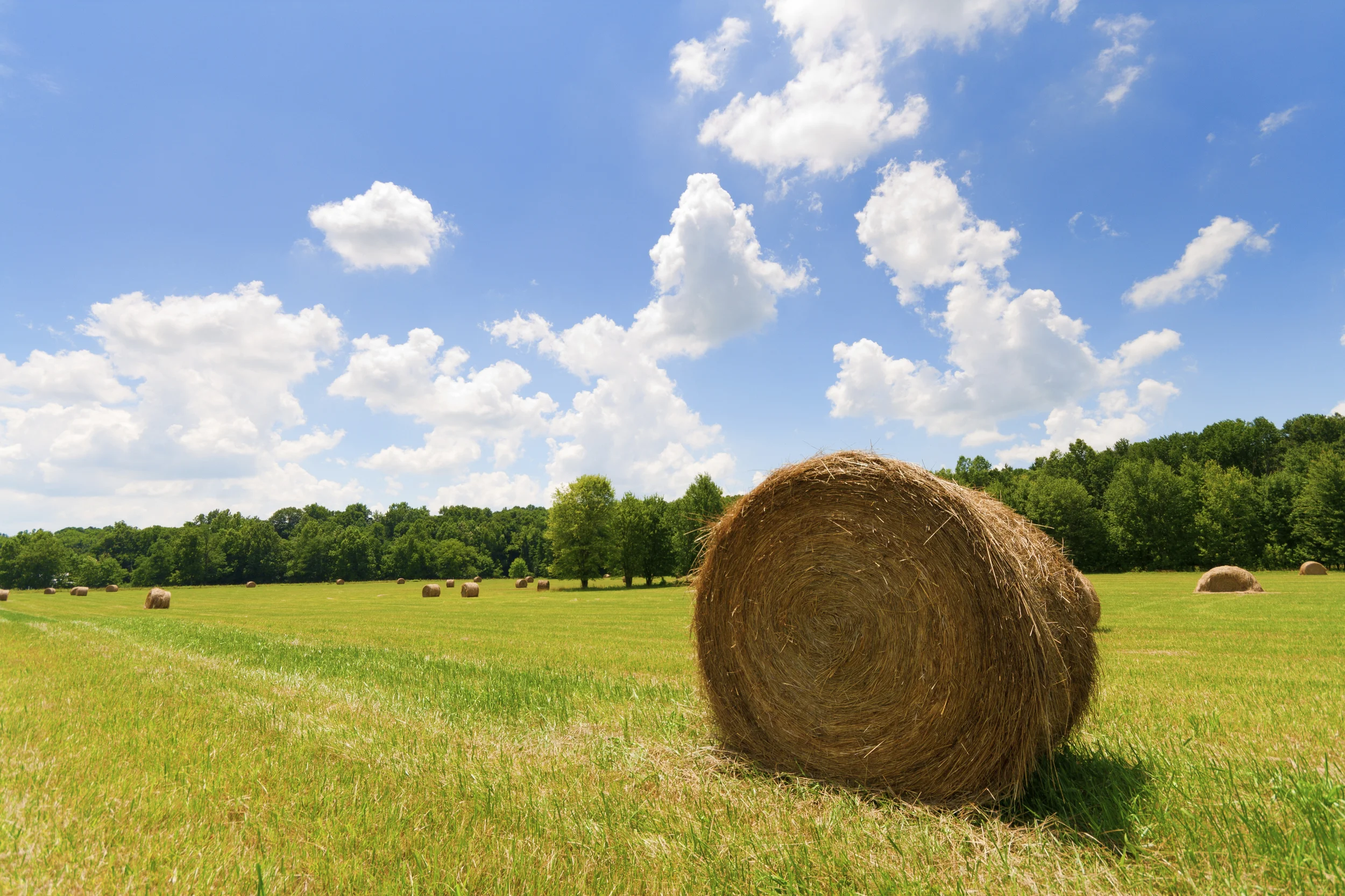 010 FINAL 010 - stock-photo-14688004-hay-bales.jpg